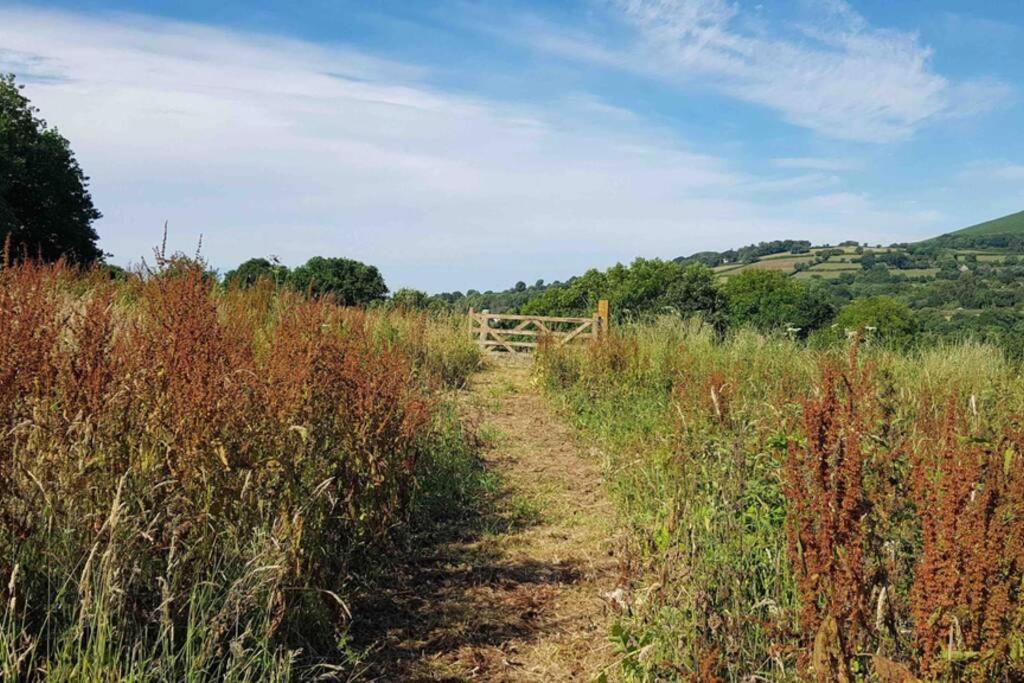 Foxesden, Unique Eco Cabin, Dartmoor Views South Brent Ngoại thất bức ảnh