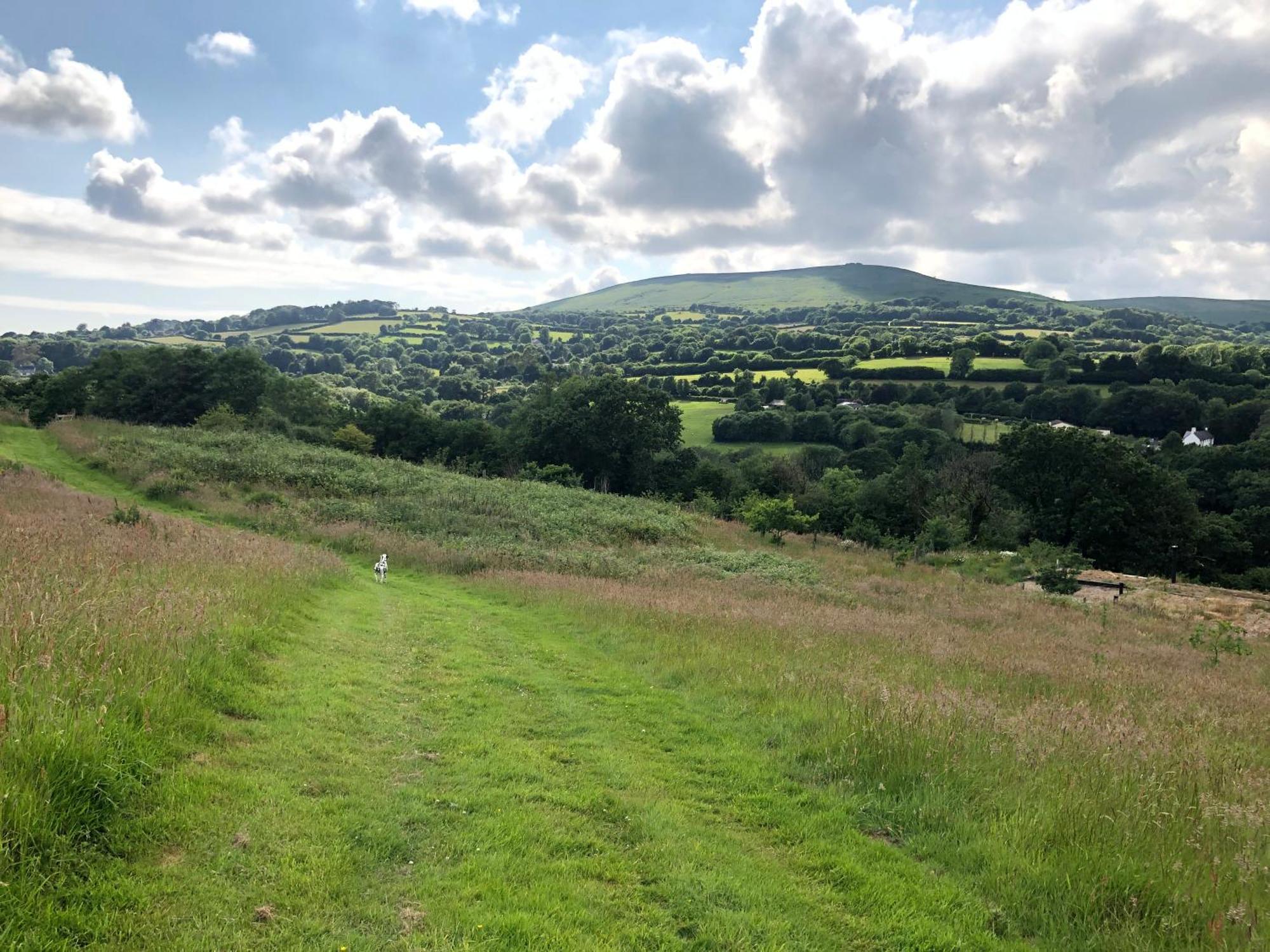 Foxesden, Unique Eco Cabin, Dartmoor Views South Brent Ngoại thất bức ảnh