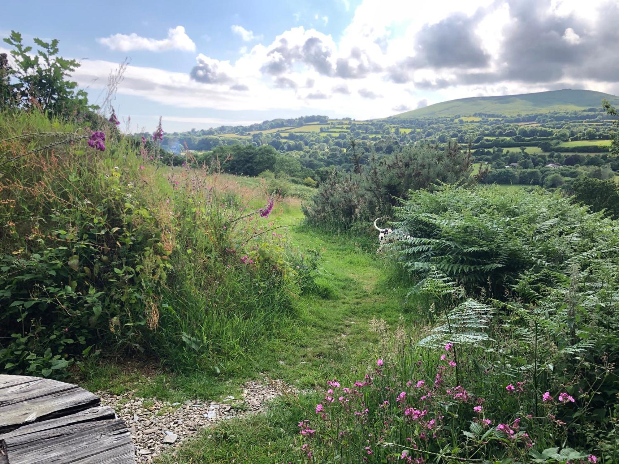 Foxesden, Unique Eco Cabin, Dartmoor Views South Brent Ngoại thất bức ảnh